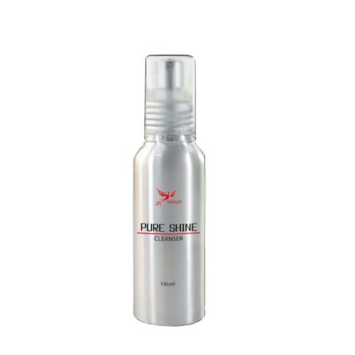 Pinselreiniger 550 ml 